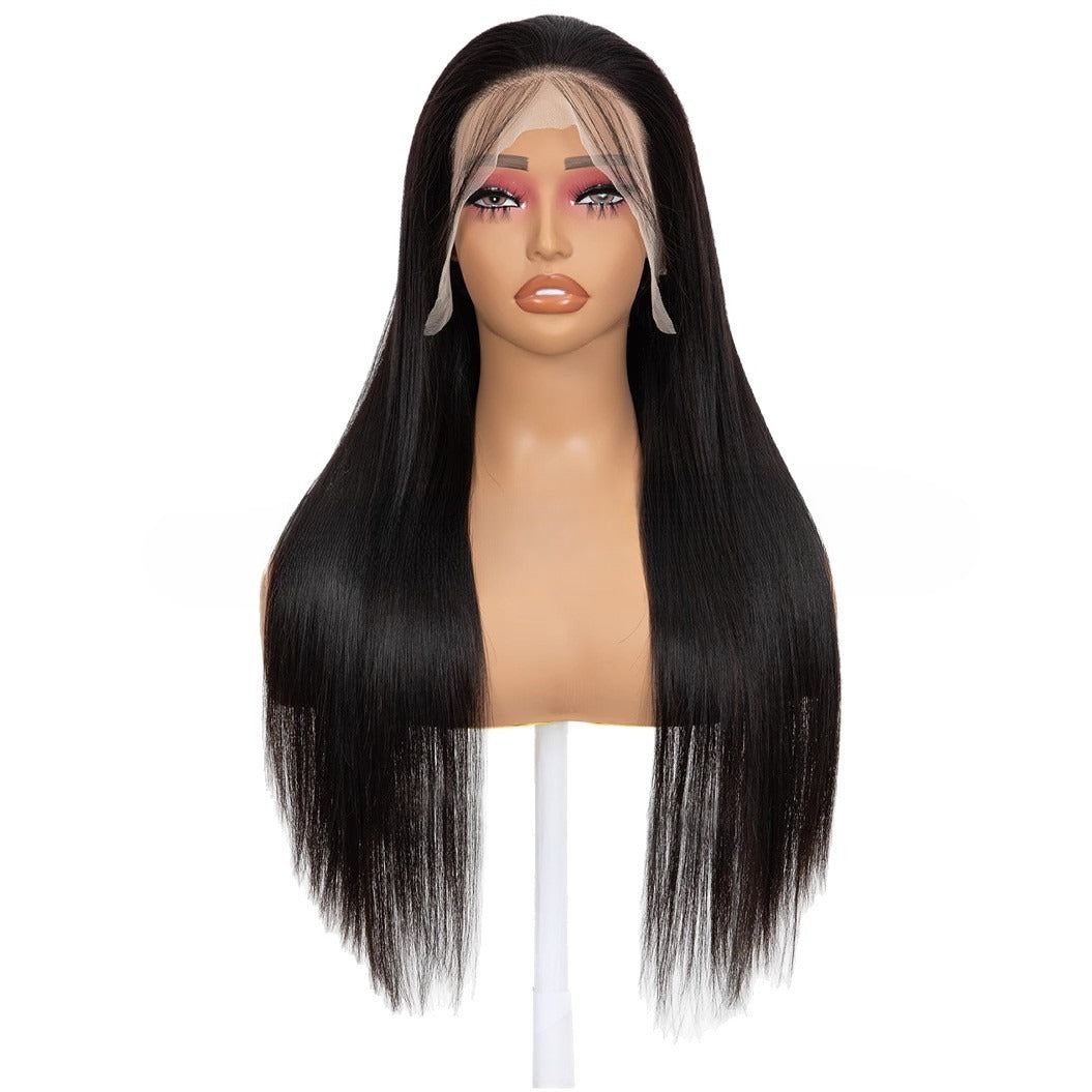 Lace Front Full Head Wigs Double Weft Long Straight Synthetic Hair Extensions view 4
