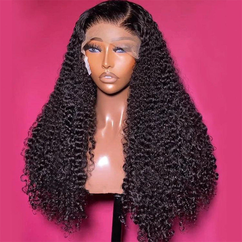 Burmese Curly Glueless Wig Human Hair SDD view 3
