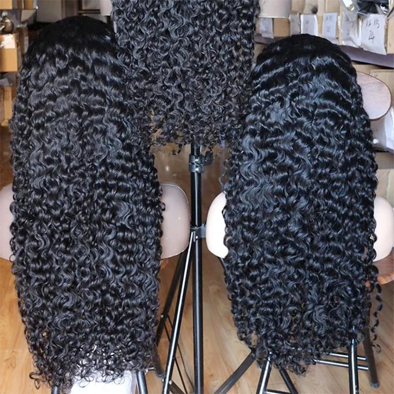 Burmese Curly Glueless Wig Human Hair SDD view 4