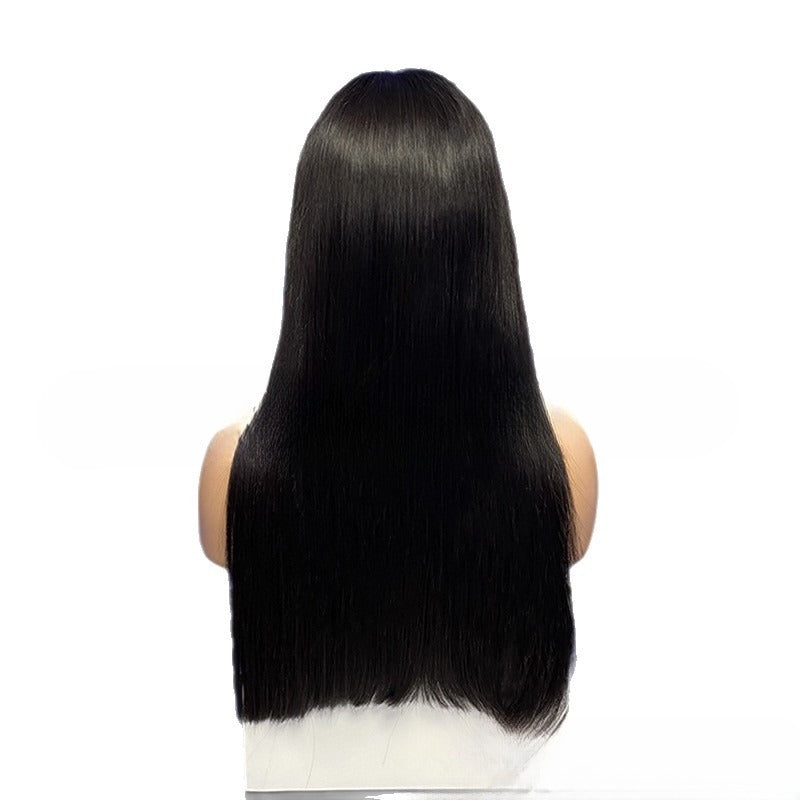 250 Density SDD Human Hair Wig With A 13x4 Lace Front view 4