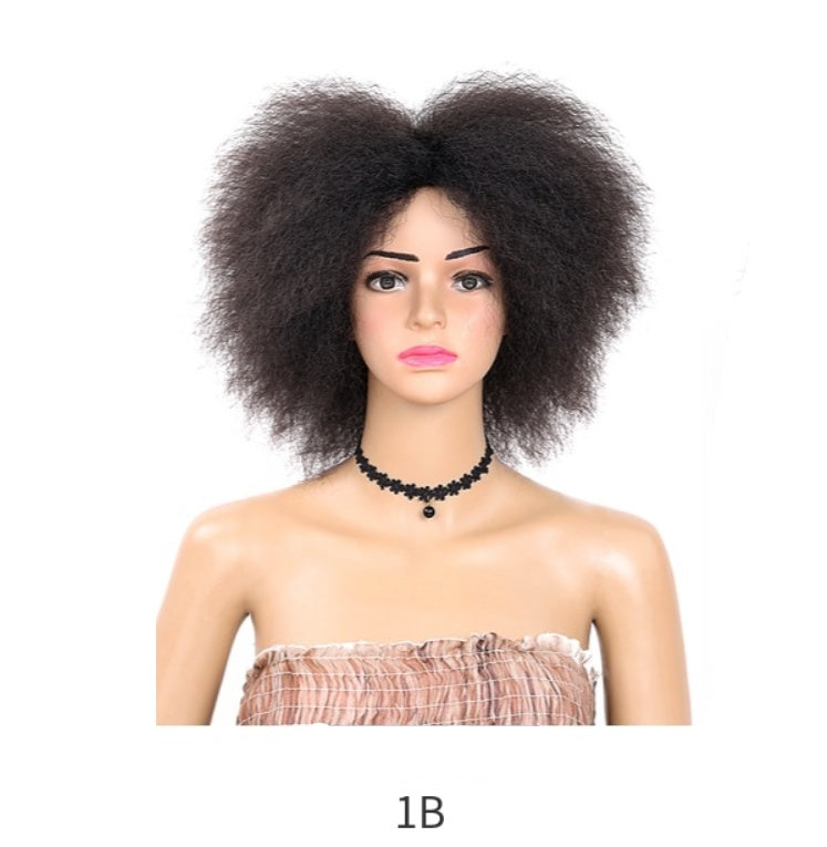 Fluffy curly hair wig view 6
