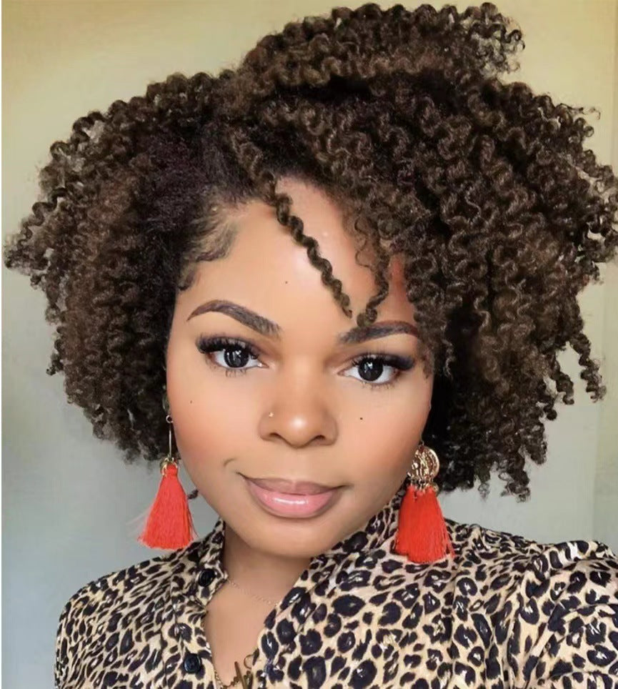 Women's Short Curly Hair Is Divided Into Synthetic Wigs view 8