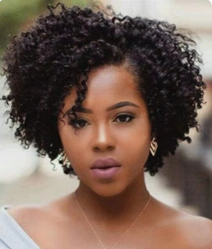 Women's Short Curly Hair Is Divided Into Synthetic Wigs view 4